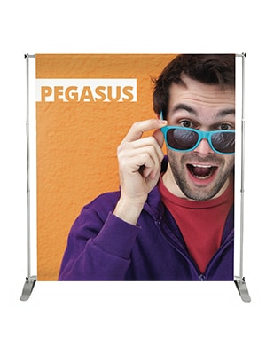 Pegasus_display